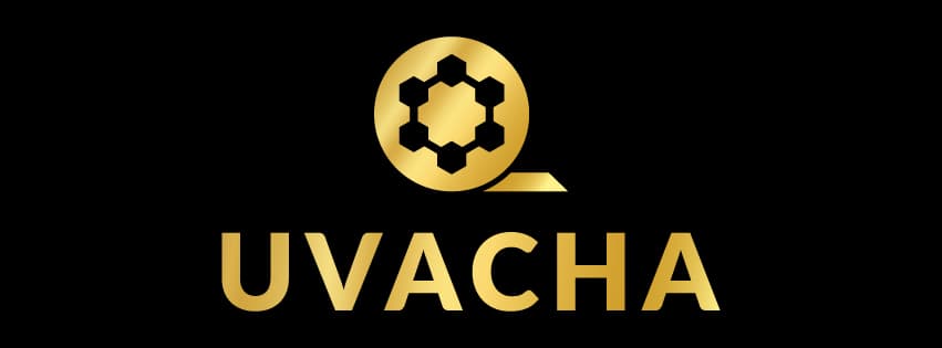 Creator uploading to Uvacha